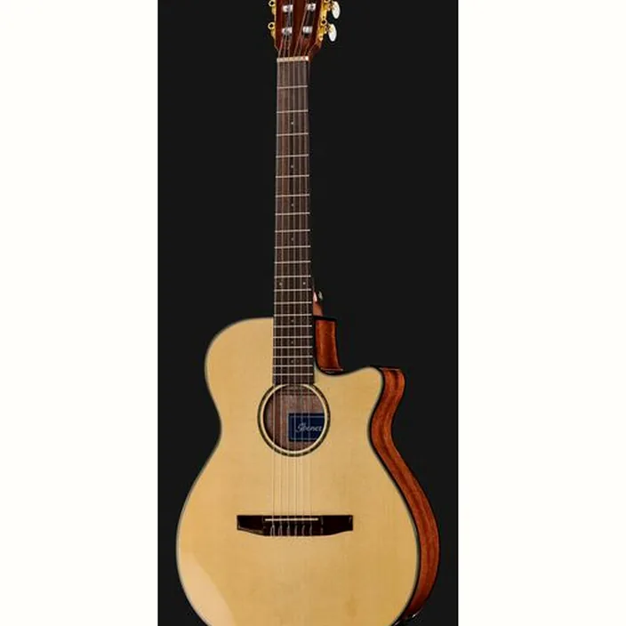 Ibanez AEG50N-NT Nylon , Avis et Test