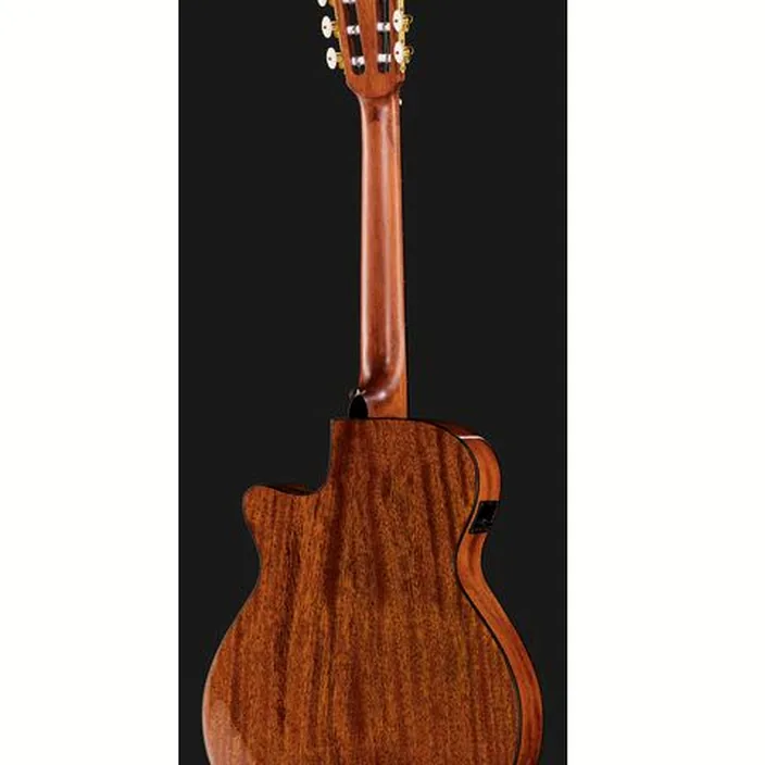 Ibanez AEG50N-NT Nylon , Avis et Test