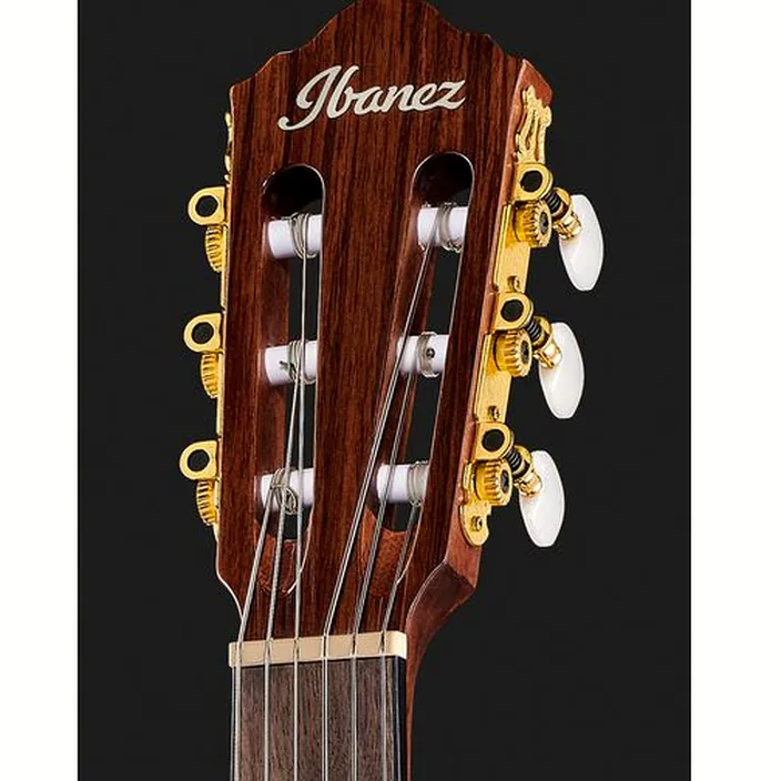 Ibanez AEG50N-NT Nylon , Avis et Test