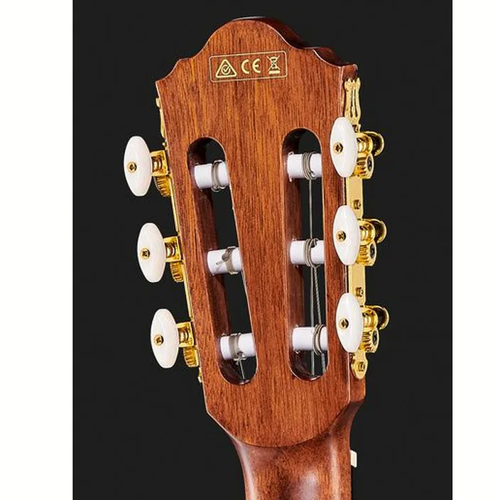 Ibanez AEG50N-NT Nylon , Avis et Test