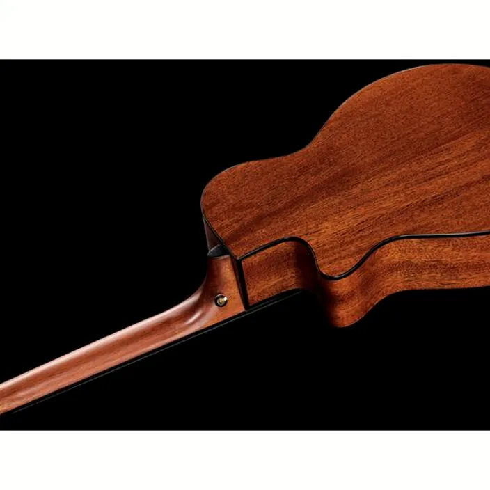 Ibanez AEG50N-NT Nylon , Avis et Test