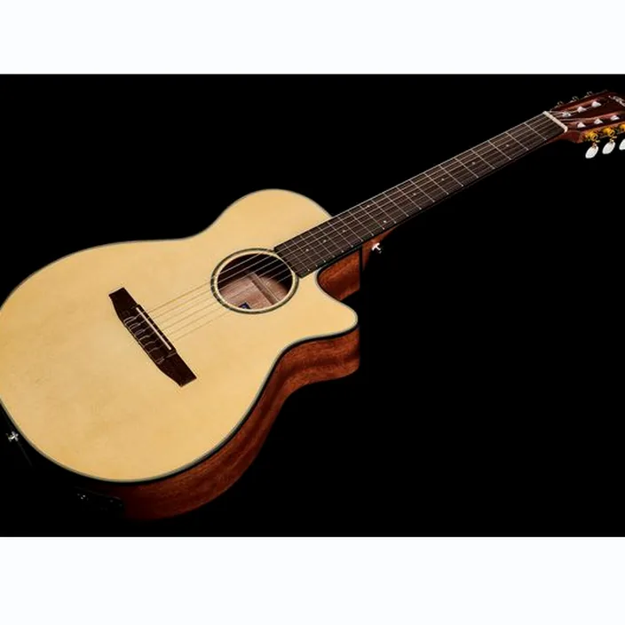 Ibanez AEG50N-NT Nylon , Avis et Test
