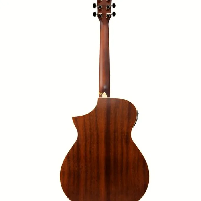 Et Test : Ibanez AEWC12-PMF