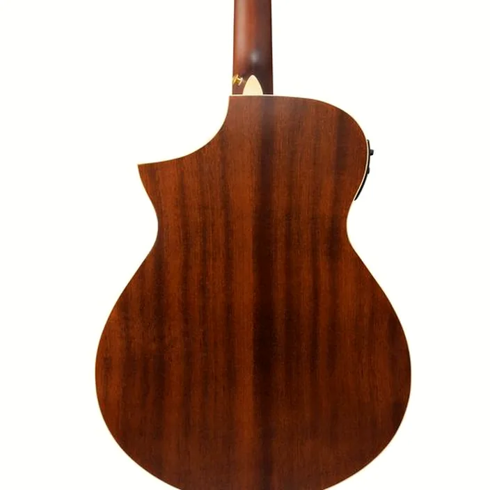 Et Test : Ibanez AEWC12-PMF