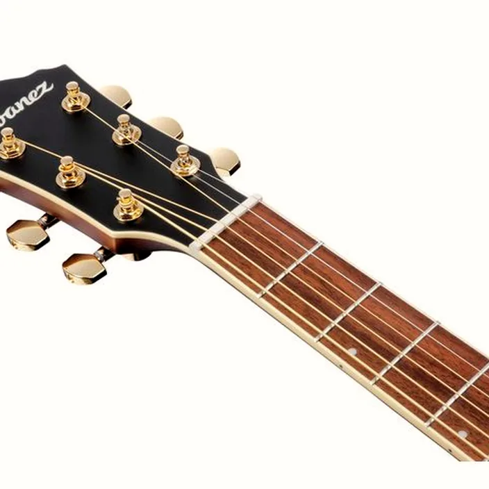 Et Test : Ibanez AEWC12-PMF