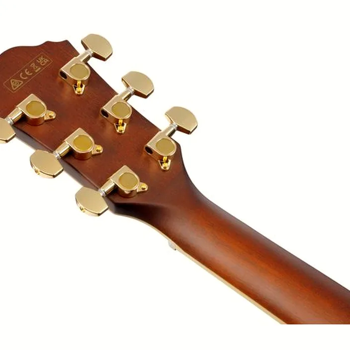 Et Test : Ibanez AEWC12-PMF