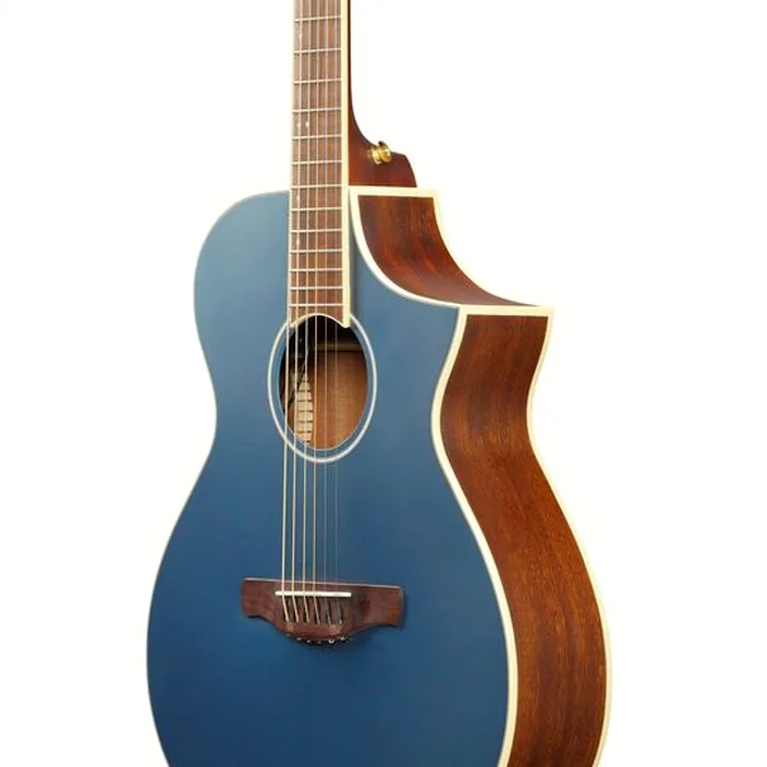 Et Test : Ibanez AEWC12-PMF