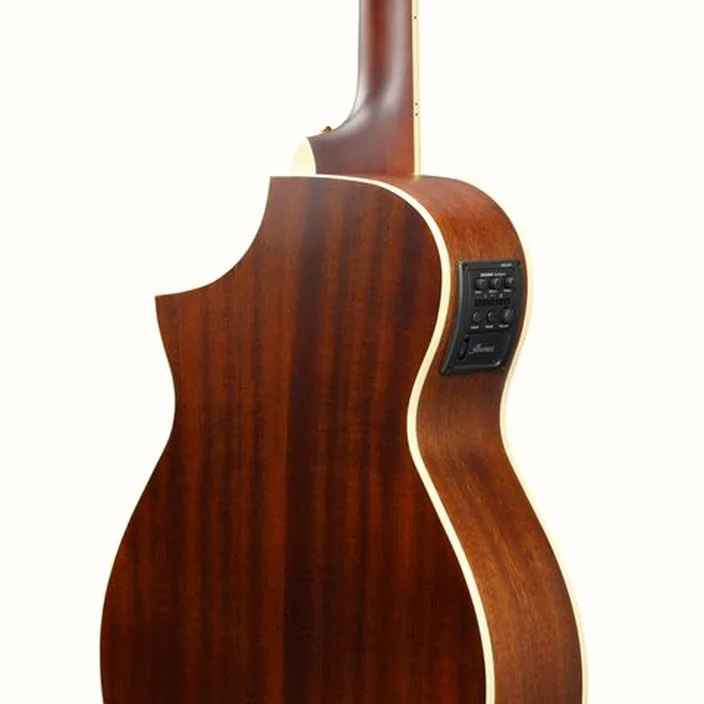 Et Test : Ibanez AEWC12-PMF