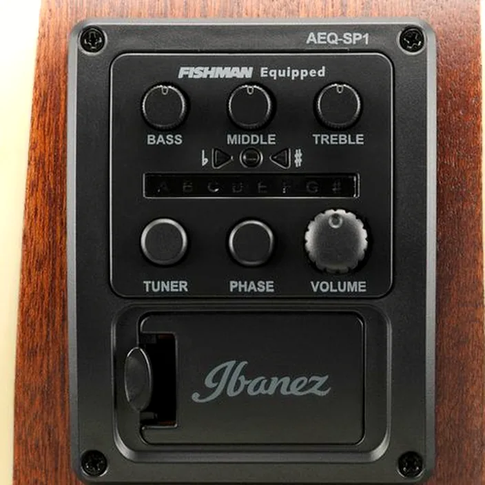 Et Test : Ibanez AEWC12-PMF