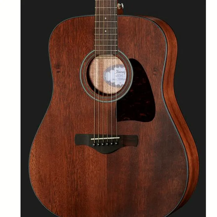 Ibanez AW54-OPN
