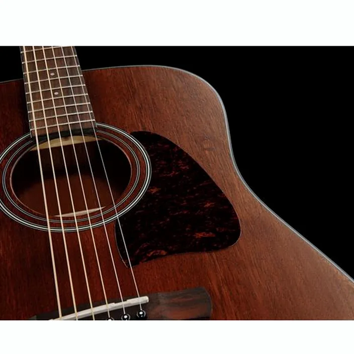 Ibanez AW54-OPN