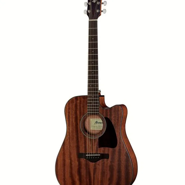 Ibanez AW54CE-OPN
