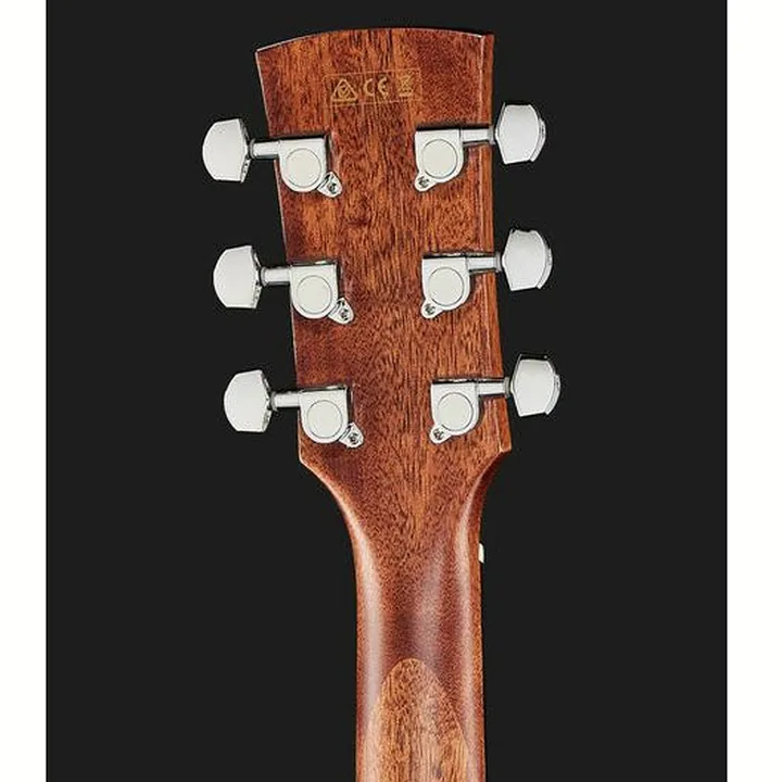 Ibanez AW65ECE-LG Comparatif, Avis, Test