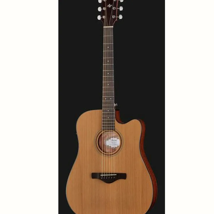 Ibanez AW65ECE-LG Comparatif, Avis, Test