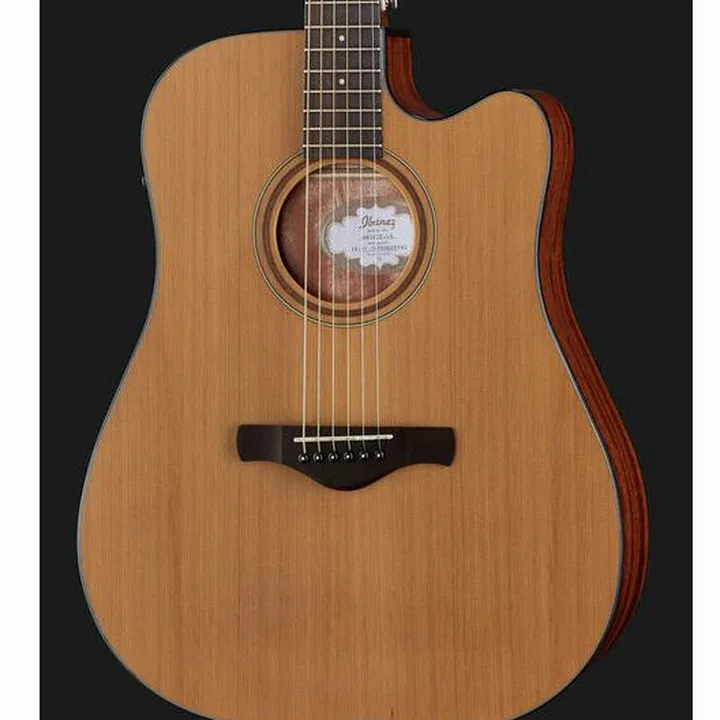 Ibanez AW65ECE-LG Comparatif, Avis, Test