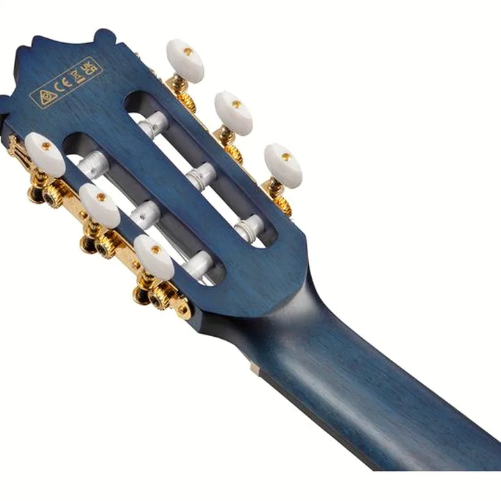 Ibanez GA5FMTCE-OB : Avis, Test & Comparatif