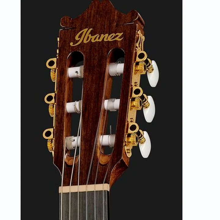 Ibanez GA5MHTCE-OPN Comparatif, Avis & Test