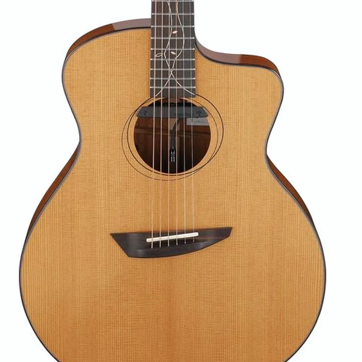 Ibanez JGM11 Jon Gomm , Test, Comparatif, Avis