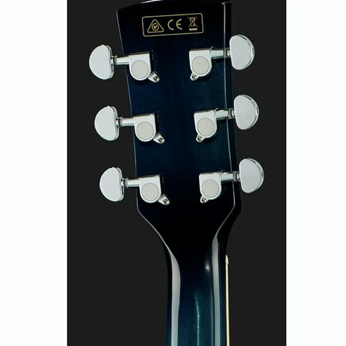 Et Avis Ibanez PF15ECE-TBS
