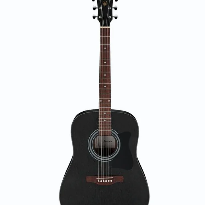 Ibanez V54NJP-WK S