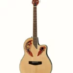 Test et Avis de la guitare acoustique Harley Benton HBO-850NT