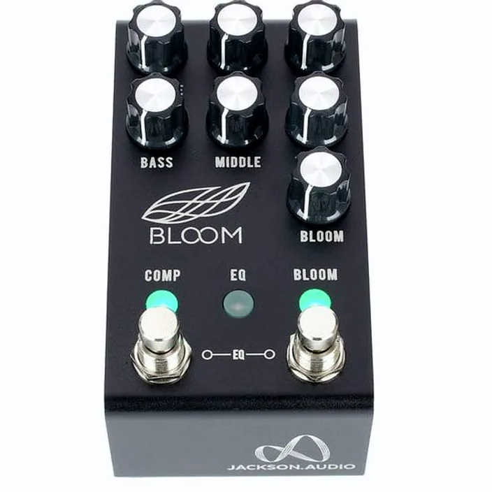 Et Test : Jackson Audio Bloom V2 BK