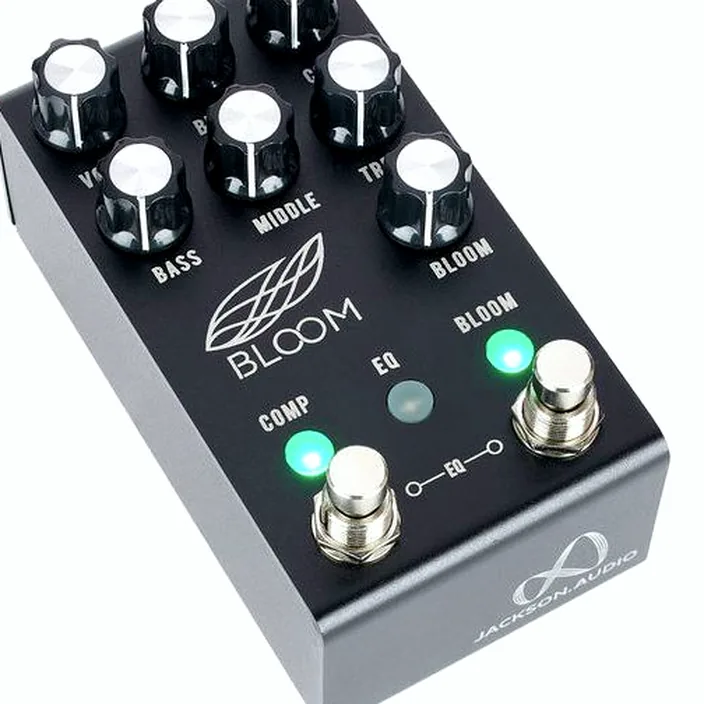 Et Test : Jackson Audio Bloom V2 BK