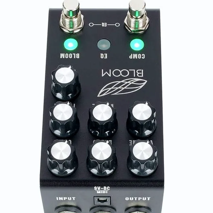 Et Test : Jackson Audio Bloom V2 BK