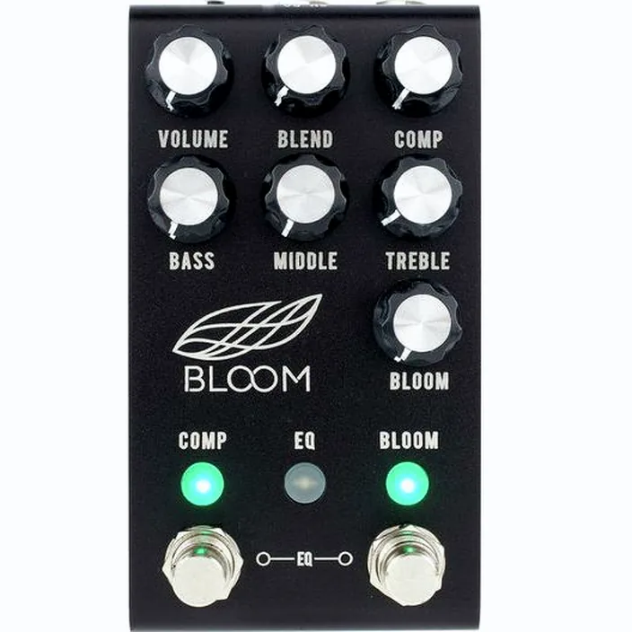 Et Test : Jackson Audio Bloom V2 BK