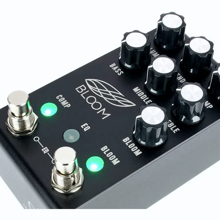 Et Test : Jackson Audio Bloom V2 BK