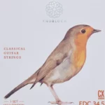 Knobloch Strings Erithacus line EDC34.5 HT / Comparatif, Avis et Test