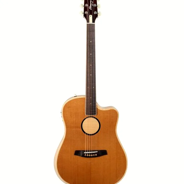 L.R.Baggs AEG 1 E- Acoustic E Natural – Test, Avis