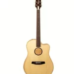 Avis & Test : L.R.Baggs AEG 1 E- Acoustic Natural