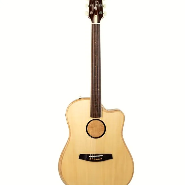 L.R.Baggs AEG 1 E- Acoustic Natural