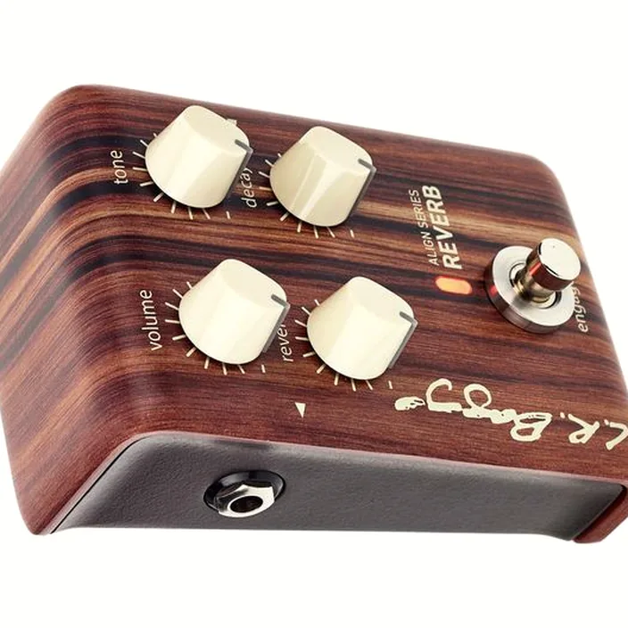 Et Test : L.R.Baggs Align Reverb Effektpedal