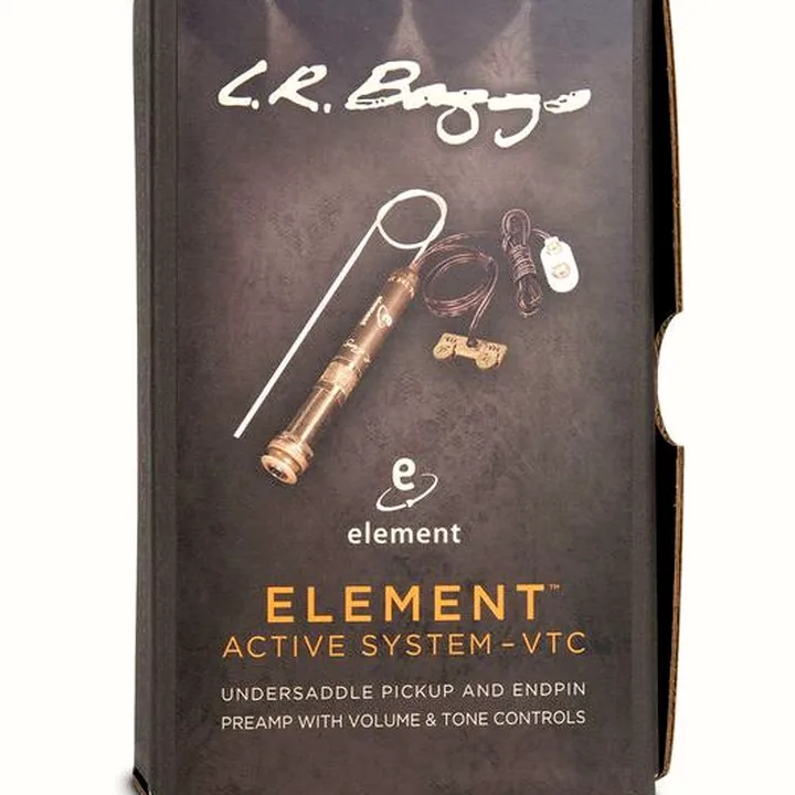 L.R.Baggs Element Active System VTC-N , Avis & Test