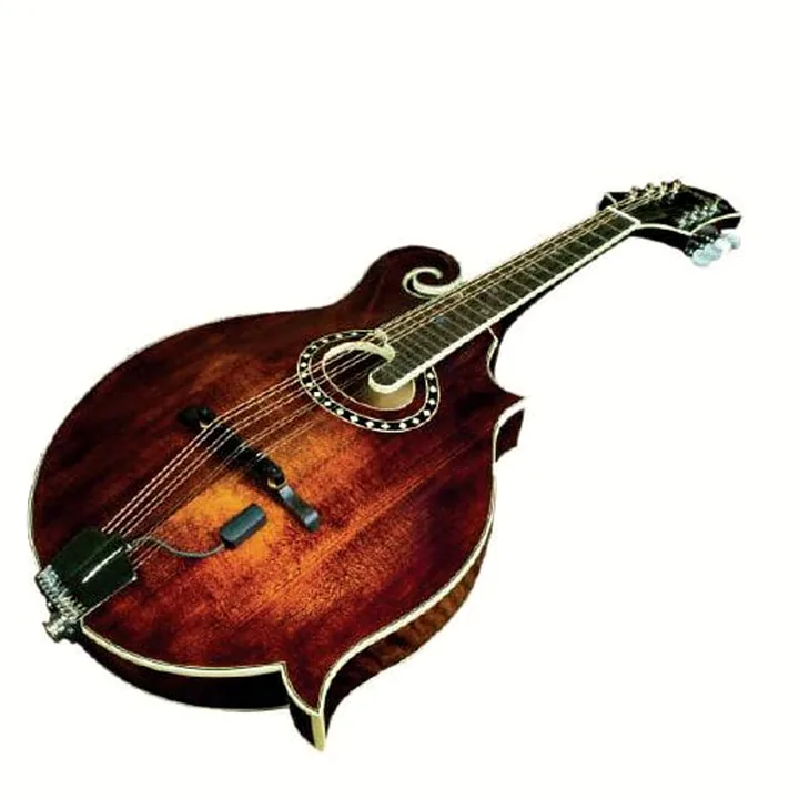 L.R.Baggs Radius-M Mandoline Pickup , Comparatif, Avis & Test