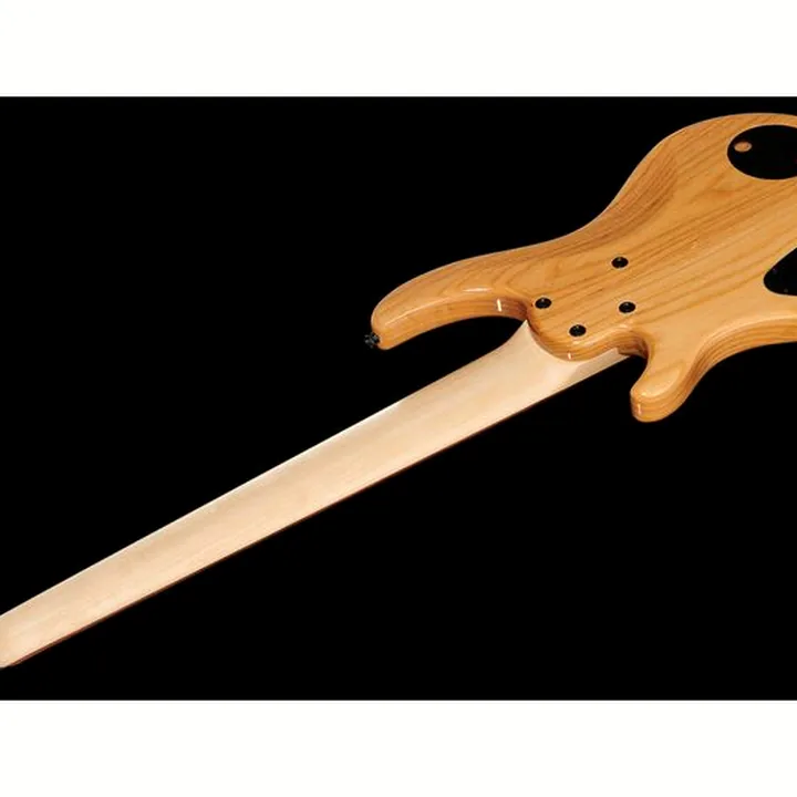 La basse électrique Dingwall CB3 Combustion 6 NAT PF – Test, Avis & Comparatif