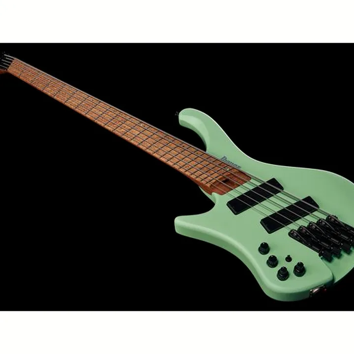 La basse électrique Ibanez EHB1005MSL-SFM : Avis & Test