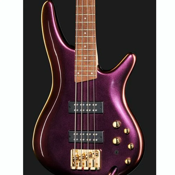 La basse électrique Ibanez SR300 EDX RGC : Test et Avis