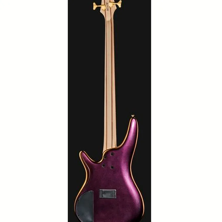 La basse électrique Ibanez SR300 EDX RGC : Test et Avis