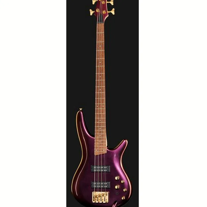 La basse électrique Ibanez SR300 EDX RGC : Test et Avis