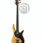 La basse Fodera Yin Yang Standard 4 II : Test, Avis, Comparatif