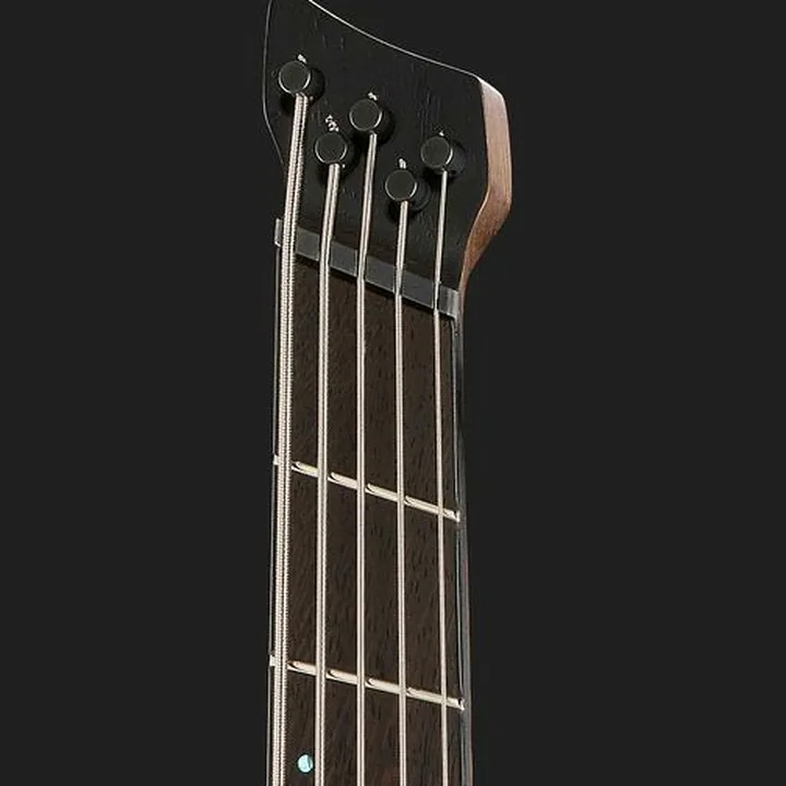 La basse Ibanez EHB1505MS-BIF Avis, Comparatif & Test