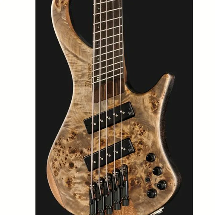 La basse Ibanez EHB1505MS-BIF Avis, Comparatif & Test
