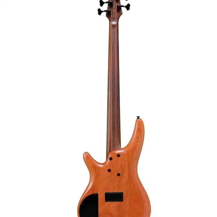 La basse Ibanez SR5FMDX2-NTL / Avis, Test & Comparatif