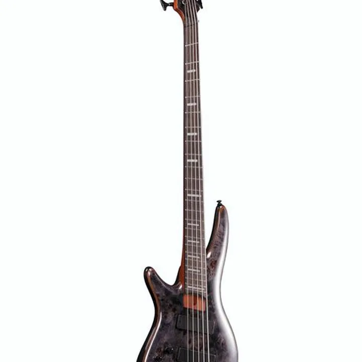 La basse Ibanez SRMS805L-DTW : Comparatif, Test & Avis