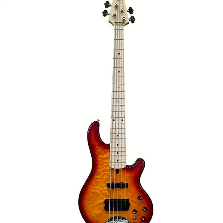La basse Lakland Skyline 55-02 Deluxe 5 HBG , Comparatif, Avis & Test