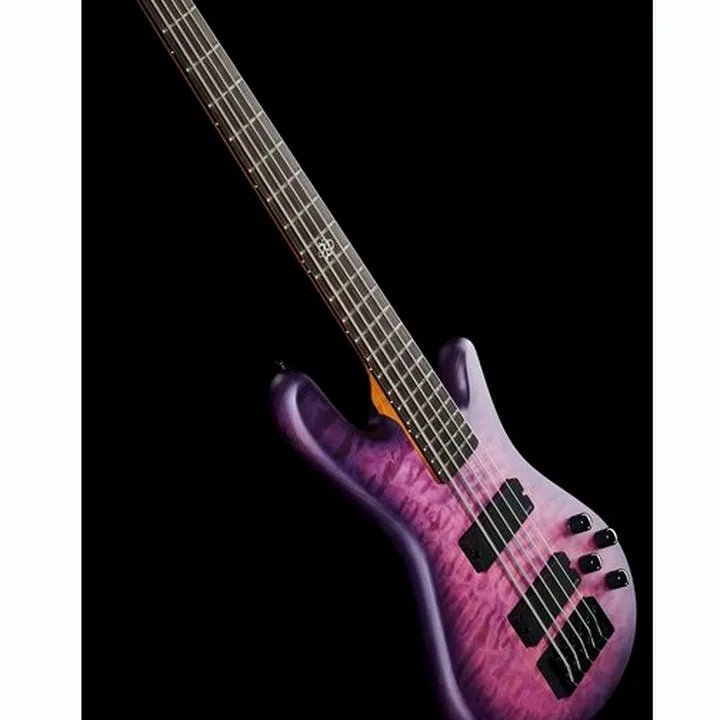 La basse Spector NS Pulse II 5 Ultra Violet : Avis, Test, Comparatif