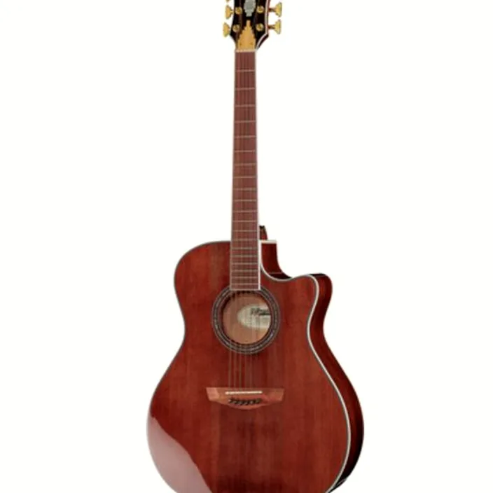 Guitare acoustique DAngelico Excel Gramercy XT Walnut Stain